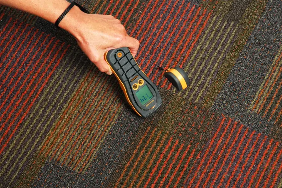 Pin moisture meter checking wet carpet during a Lancaster, SC water extraction