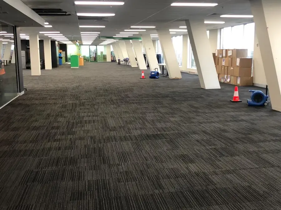 Air movers and dehumidifiers drying carpet across an open office floor in Lancaster, SC